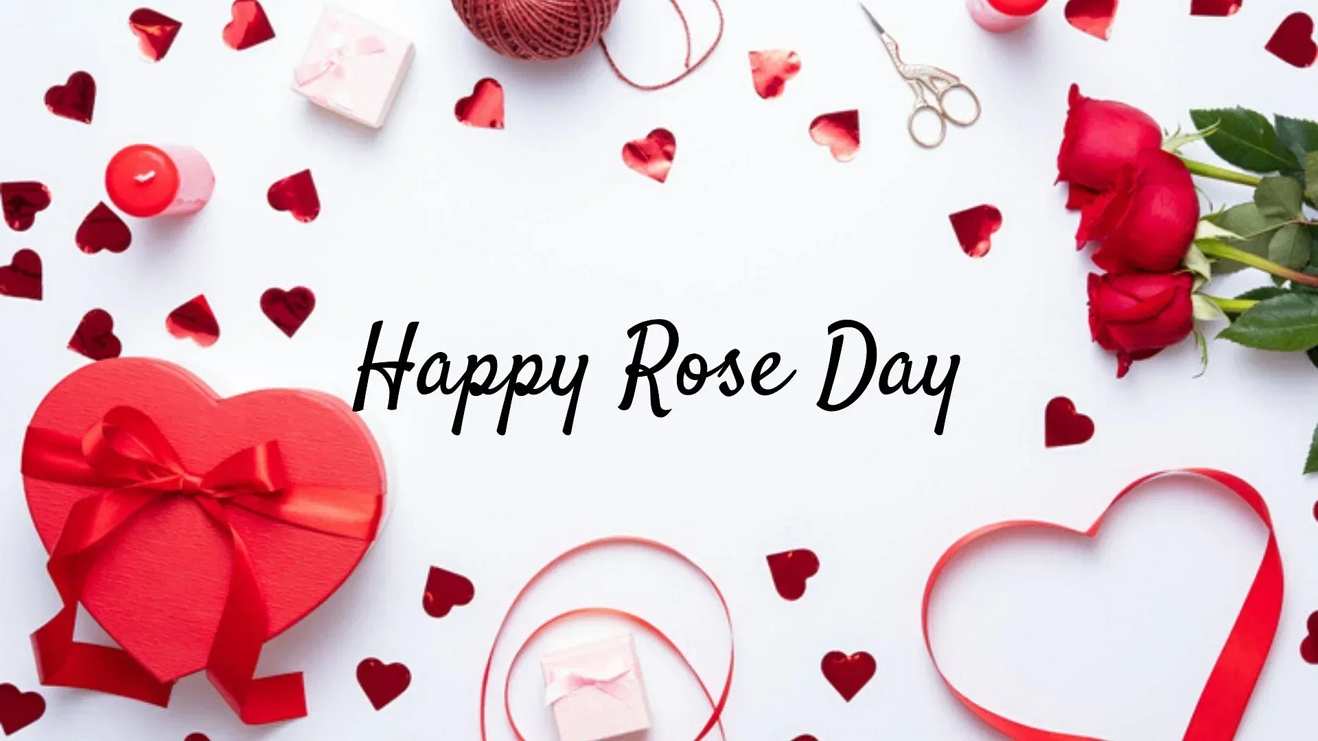Rose Day Wishes, Quotes, and Messages for Your Special Someone