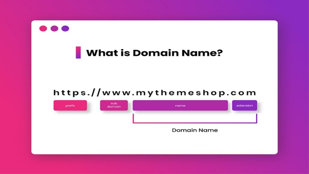 what is domain